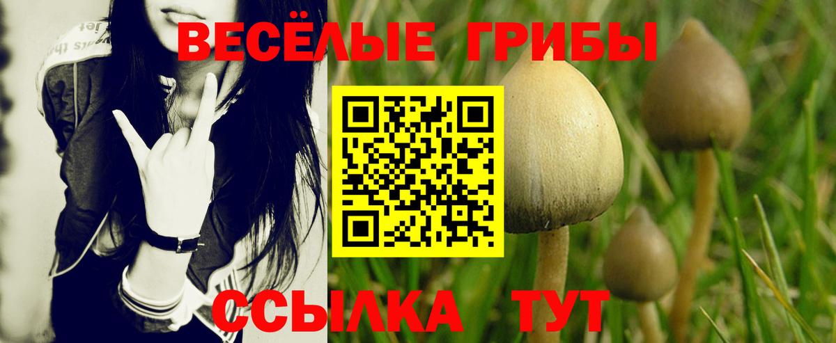 Апшеронск  Псилоцибиновые грибы мухоморы  Вход с VPN 